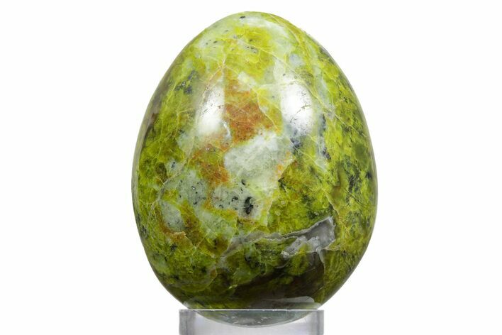 Polished Green Opal Egg - Madagascar #356160